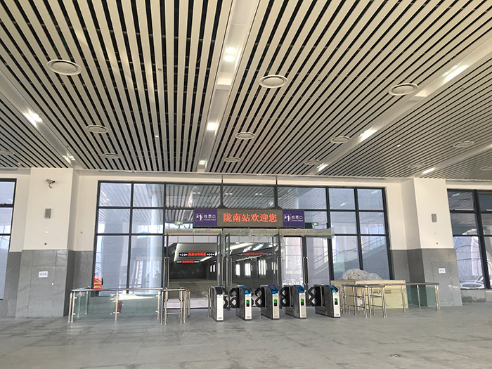 全國、省市政協(xié)委員體驗蘭渝鐵路、視察階州廣場