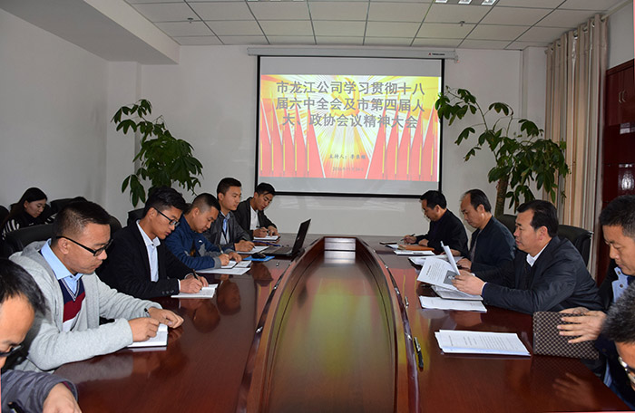 市龍江公司召開全體員工大會，專題傳達(dá)學(xué)習(xí)上級會議精神