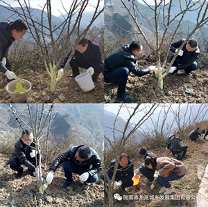 市龍江集團(tuán)在文縣橋頭鎮(zhèn)安子坡村開(kāi)展“解難題、辦實(shí)事、送溫暖”活動(dòng)