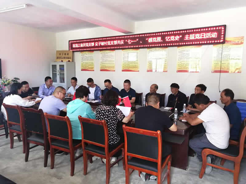 “感黨恩、憶黨史”，--市龍江城鄉(xiāng)發(fā)展集團(tuán)公司開(kāi)展慶祝建黨99周年主題黨日活動(dòng)