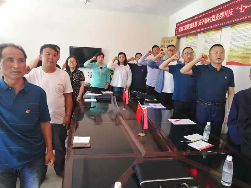 “感黨恩、憶黨史”，--市龍江城鄉(xiāng)發(fā)展集團(tuán)公司開(kāi)展慶祝建黨99周年主題黨日活動(dòng)