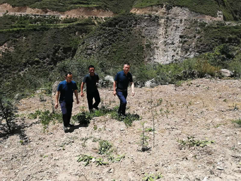 “感黨恩、憶黨史”，--市龍江城鄉(xiāng)發(fā)展集團(tuán)公司開(kāi)展慶祝建黨99周年主題黨日活動(dòng)