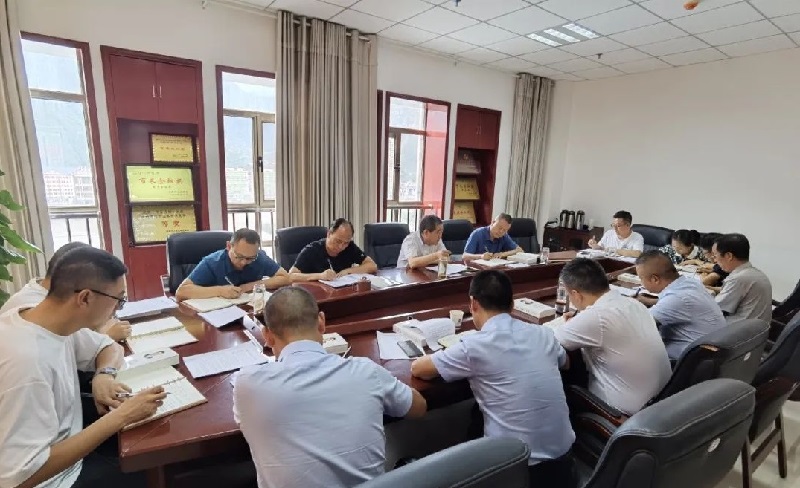 市龍江集團(tuán)召開黨委(擴(kuò)大)會議